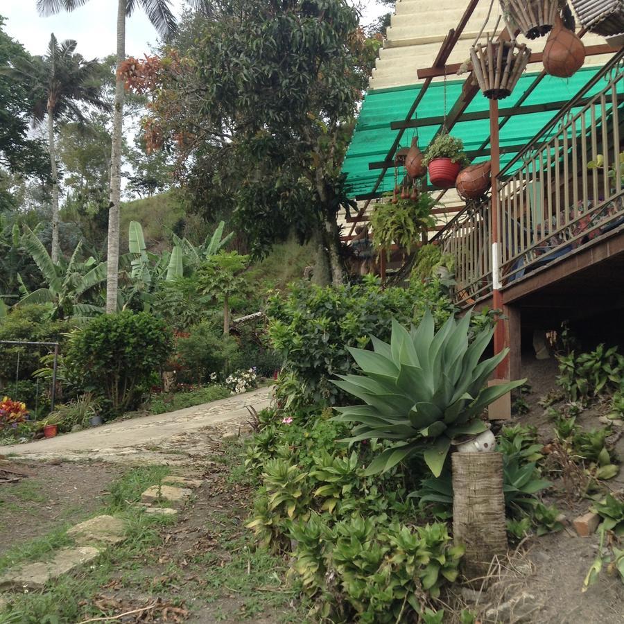 Casa Finca El Girasol Villa Guayabal de Síquima Kültér fotó